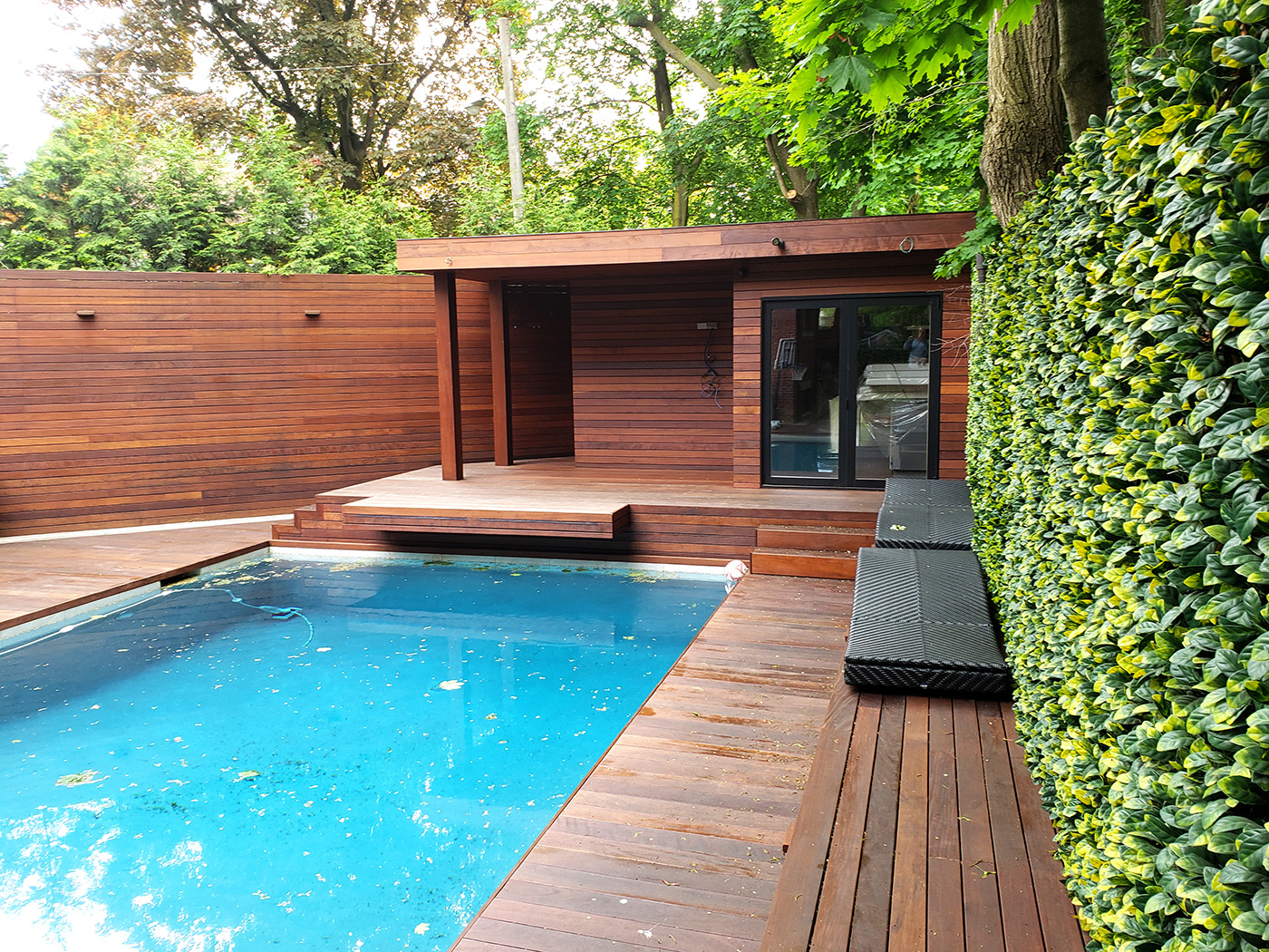 A modern outdoor pool is nestled within a stylish deck of wooden planks and walls. A small wooden pool house with glass doors stands gracefully in the background. The area is enclosed by a tall, leafy green hedge, creating a private and lush environment.